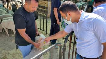 Hayvan Pazarında Denetim
