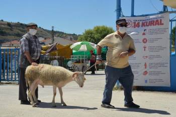 Hayvan Pazarında Son Gün Yoğunluğu Yaşanıyor

