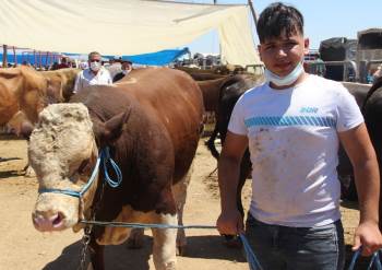 Hayvan Pazarlıkları Kızıştı
