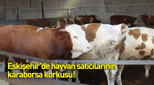 Hayvan satıcılarının karaborsa korkusu!
