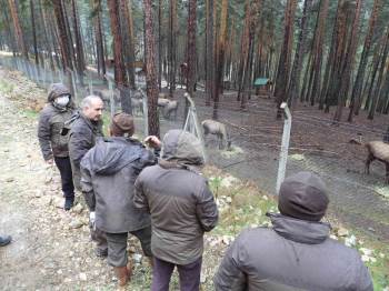 Hayvan Üretim İstasyonlarında İnceleme Yapıldı
