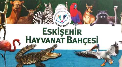 Hayvanat Bahçesi açılıyor