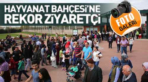 Hayvanat Bahçesi'ne rekor ziyaretçi
