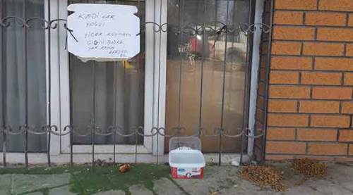 Hayvanseverden ilginç uyarı