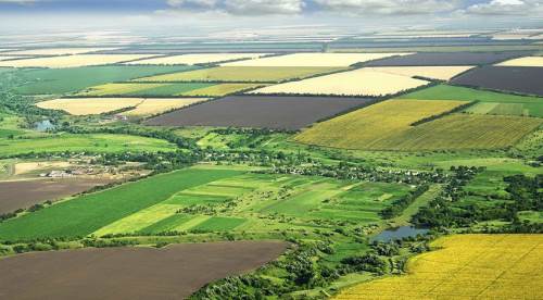 Hazineye ait tarım arazileri doğrudan satılacak