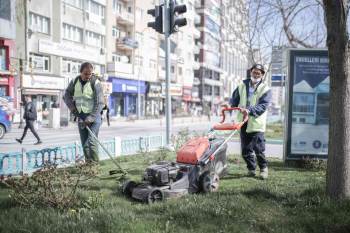 Hedef, Daha Yeşil Bir Kütahya
