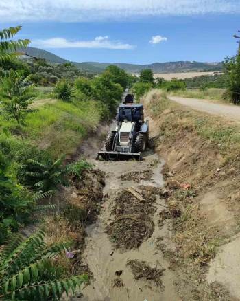 Hem İlaçlama Çalışmaları Hem De Temizlik Çalışmaları
