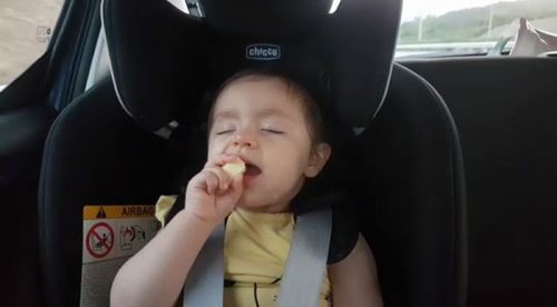 Hem uyuyor, hem yiyor