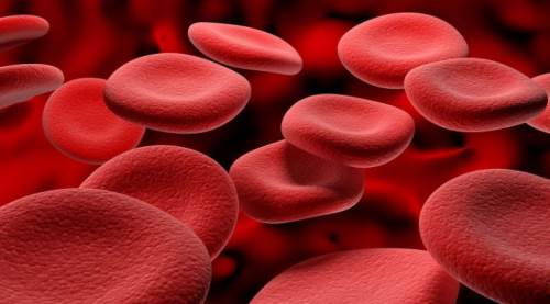 Hemofili Nedir? Belirtileri Nelerdir? Dünya Hemofili Günü Ne Zaman?