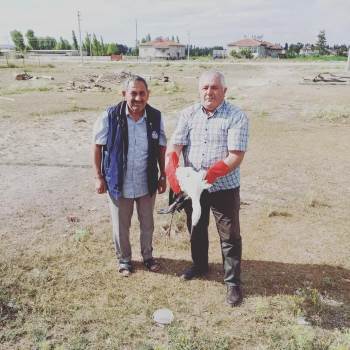 Hepsi De Yaralı Ve Bitkin Halde Bulunup Tedavi Altına Alındı
