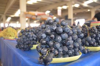 Her Derde Deva Siyah Üzüm Tezgahlarda Yerini Aldı
