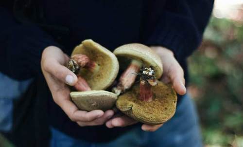 Her gün Eskişehir'den Bilecik'e akın ediyorlar çünkü...