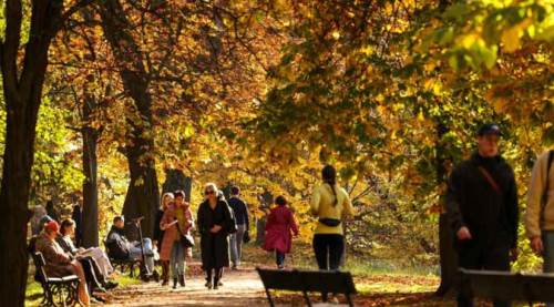 Her gün sadece bunu yapmak erken ölüm riskini azaltıyor!