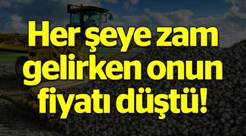 Her şeye zam gelirken onun fiyatı düştü!