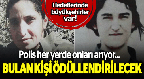 Her yerde aranıyorlar, bulan ödüllendirilecek!
