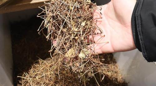 Herkes çöpe atıyor ama faydası saymakla bitmiyor