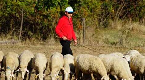 Herkesin hayali olan şeyi yaptı, gelirini üçe katladı!