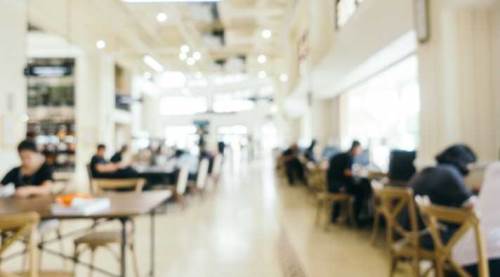 Herkesin üniversitede okumasına gerek yok!	