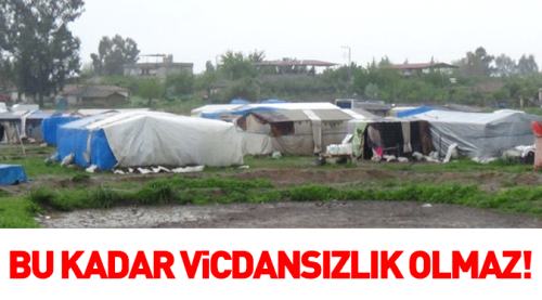 Hırsızlar mevsimlik işçilerin çadırına dadandı