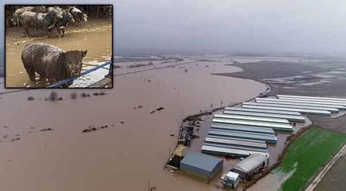 Hırsızlar sele sebep oldu...