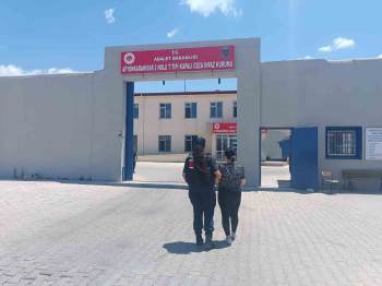 Hırsızlık Suçundan Aranan Kadını Devriye Gezen Jandarma Yakaladı
