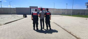 Hırsızlık Suçundan Aranan Şahsı Jandarma Yakaladı
