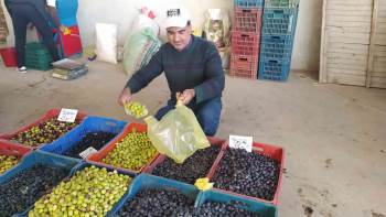 Hisarcık Halkı Salamura Zeytin Yapımına Yöneldi
