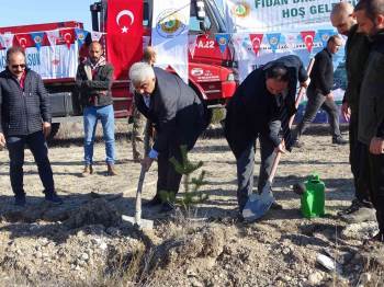 Hisarcık’Ta 300 Fidan Dikildi
