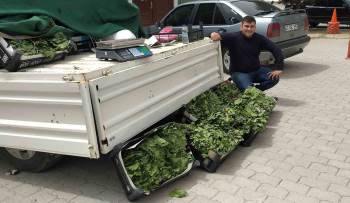 Hisarcık’Ta Asma Yaprağı Rağbet Görüyor
