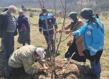 Hisarcık’Ta Çiftçilere Budama Eğitimi
