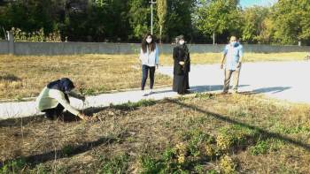 Hisarcık’Ta Öğretmenler Fidan Dikti
