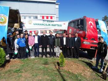 Hisarcık’Ta Orman Haftası Etkinlikleri
