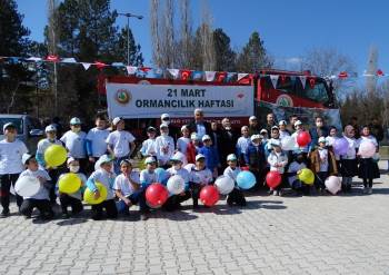 Hisarcık’Ta Orman Haftası Etkinlikleri
