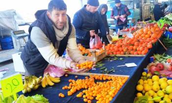Hisarcık’Ta Şifa Deposu Kamkat Meyvesi Rağbet Görüyor
