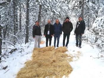 Hisarcık’Ta Yaban Hayvanları Unutulmadı
