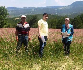 Hisarcık’Ta Yem Bitkileri Kontrolleri
