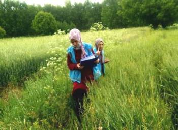 Hisarcık’Ta Yem Bitkisi Ekili Alanlarda Kontrol Yapılıyor
