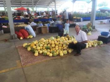 Hisarcık’Ta Yerli Kavun Rağbet Görüyor
