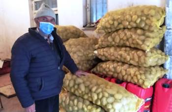 Hisarcık Tkk’Dan Üreticiye Sertifikalı Patates Tohumu

