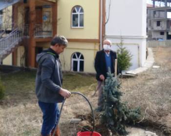 Hisarcık Yunus Emre Cami Bahçesi Ağaçlandırıldı
