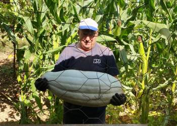Hisarcıklı Çiftçi Ata Tohumundan 30 Kilo Gelen Bal Kabağı Yetiştirdi
