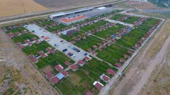 Hobi Bahçelerinin Bakımına Tek Kişilik Müsaade
