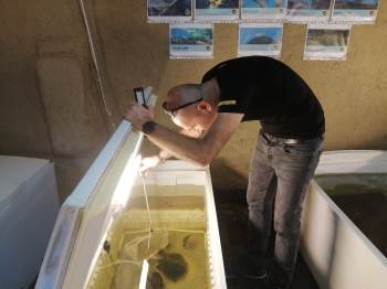 Hobi Olarak Başladı, Uluslararası Fuara Davet Edildi
