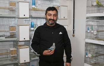 Hobi Olarak Başladılar Normallerinden 3 Kat Büyükler
