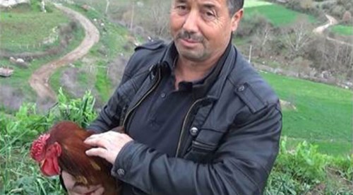 Horoz konuşunca kesilmekten kurtuldu