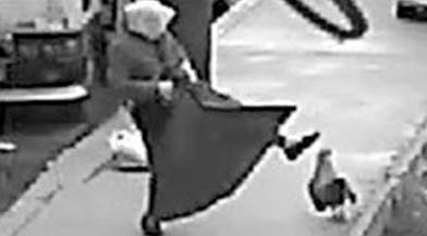 Horozla kadının güldüren kavgası kamerada