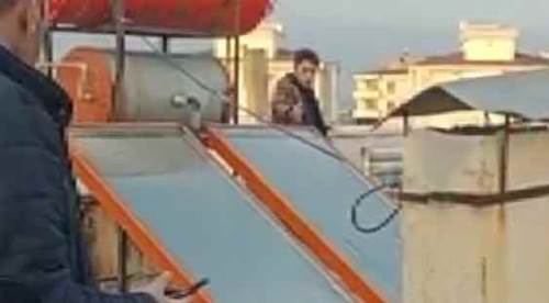 Horozu için intihara kalkıştı!