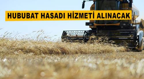 Hububat hasadı hizmeti alınacak