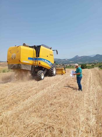 Hububat Hasadı İle Biçerdöver Kontrolleri Devam Ediyor

