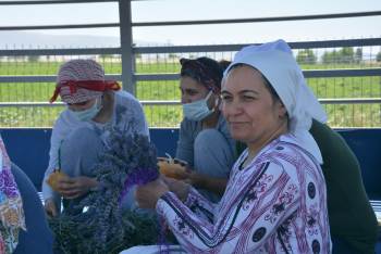 Hüdai Kaplıcalarındaki Oteller Alternatif Tıp Bitkilerini Üretiyor
